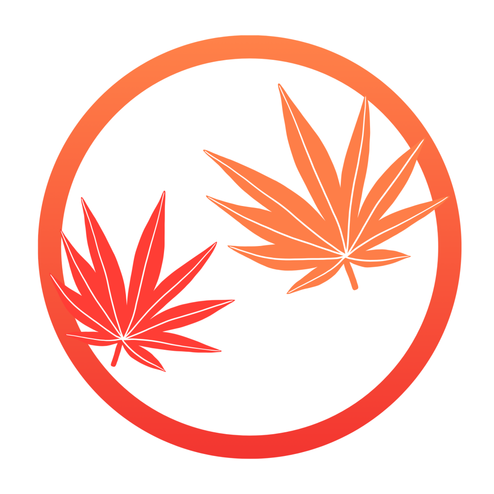 Arrêt du cannabis - GARANTIE 12 MOIS (En cas de rechute vous êtes repris en charge gratuitement)